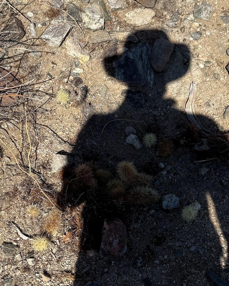 Shadow self-portrait of Douglas Bates on a desert trail